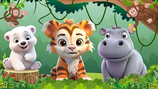 Cute Baby Monkeys - Polar Bear, Tiger, Hippo, Duck - ANIMAL (BGM)