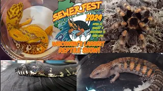 Sewerfest April 2024! Snakes, Lizards, Turtles, Arachnids and more!