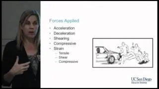 Basic Trauma Workshop: Mechanism of Injury