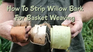 How to strip willow bark for basket weaving