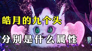 神印王座：皓月的9个头属性分别是什么？为何宠物是最大反派？