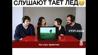 Итальянцы слушают Тает Лёд