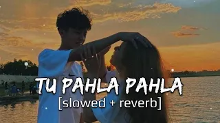 Tu pahla pahla pyar hai mera - Most Romantic Bollywood (slowed + reverb) Lofi song 🎧😘🦋 #song