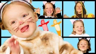 Kitty Finger Family Song - Mommy and Daddy Cat | The Finger Family Song