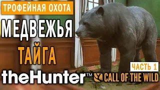 theHunter Call of the Wild #5 🔫 - Медвежья Тайга - Трофейная Охота (Часть 1)