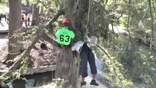 Unedited Aerial Rescue Tree Cam