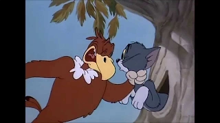 Tom and Jerry, 21 Episode - Flirty Birdy (1945)