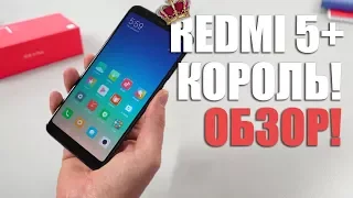 Обзор Xiaomi Redmi 5 Plus - король бюджетников 2018