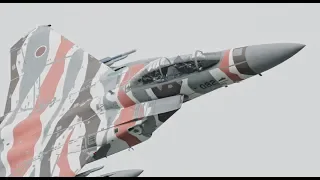 百里基地 2018 アグレッサー 巡回教導訓練 JASDF AGGRESSOR F-15DJ Eagles