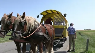 Place to be - Hallig Hooge