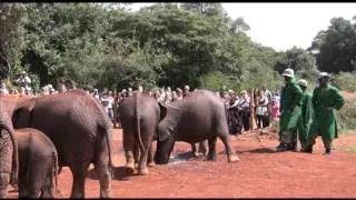 Daphne Sheldrick's  Elephant Orphanage in Kenya by Michael Fairchild