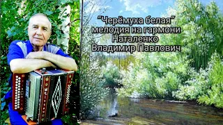 🎹🎶"Белая черёмуха" гармонь Наталенко Владимир Павлович
