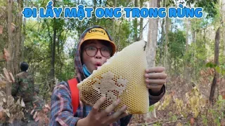 Chị Thơ Đi Lấy Mật Ong Trong Rừng Sâu