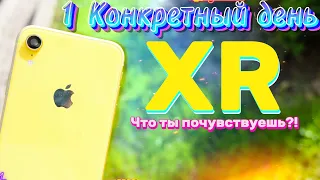 1 ДЕНЬ с iPhone XR в 2023 и 2024 году