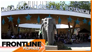 Ilang namamasyal ngayong Pasko, mas piniling magpunta sa Manila Zoo | Frontline Pilipinas