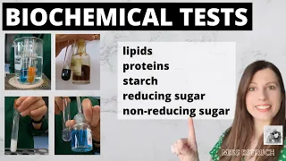 A-level BIOCHEMICAL TESTS- test for starch, reducing sugars, non-reducing sugars, proteins, lipids