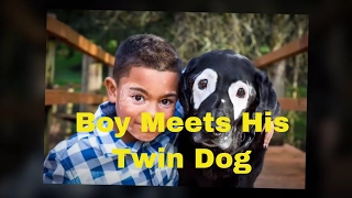 Boy With A Rare Skin Disorder Meets His Twin Dog