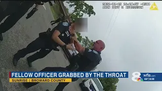 Florida cop seen putting hand on fellow officer's throat on body cam video