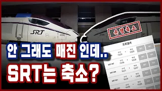 [속보]예매전쟁 SRT, 그런데 열차는 오히려 줄어든다고?(feat. 운행횟수 기적의 계산법ㄷㄷ)