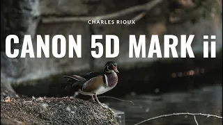 THE CANON 5D MARK ii - STILL WORTH USING IN 2024?