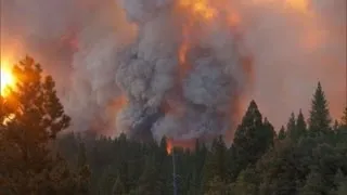 Ancient sequoia trees could be affected by wildfires