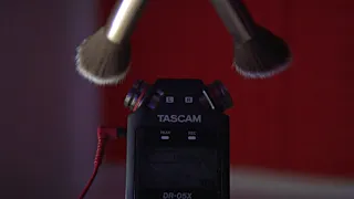 ASMR Tascam Ear Cleaning | Mic Tapping, Brushing & Q-Tips (NO TALKING)