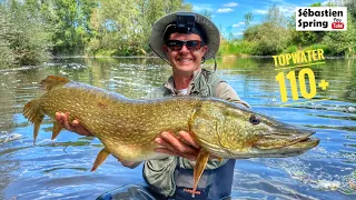 Ce leurre de surface est une DINGUERIE !!! Record battu avec ce VIEUX brochet au ventre flasque !