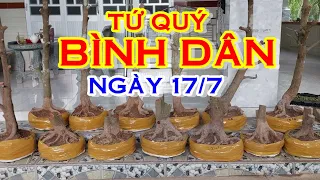 ANH TÚ 📲 O392O51739 GIÁ RẺ - MAI TỨ QUÝ DÁNG ĐẸP GIAO LƯU NGÀY 17/7 "@CANHDONGVANG"