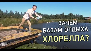 Как улучшить состояние воды на базе отдыха? Зачем базам отдыха хлорелла Альготек?