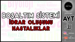 28) Boşaltım Sistemi - İdrar Oluşumu - Hastalıklar