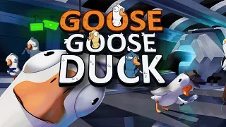 ГУСЬ ГУСЬ ДАК ►УТКА-ГУСЬ в Goose Goose Duck
