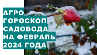 Агрогороскоп садовода на февраль 2024 года Gardener's agrohoroscope for February 2024