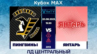 Пингвины - Янтарь 15:30 20.08.23 «Кубок Московской академии хоккея» 2013 Г.Р.