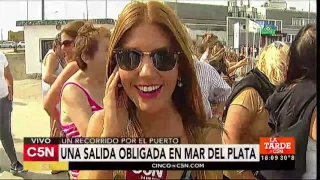 C5N - Verano 2017: el puerto, la salida obligatoria en Mar del Plata