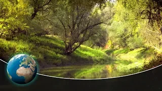 The Sava Floodplains - Croatia's secret paradise | Full Documentary