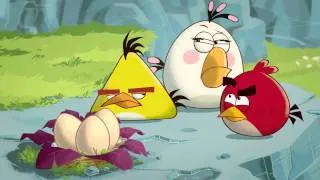 Angry Birds Toons : 05 Eggs Sound