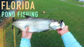 Catching POND TARPON in Florida  (Fly fishing)