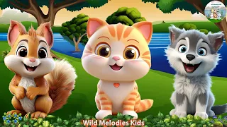 Cute Little Animals: Wolf, Kitten, Squirrel - Animal Sounds