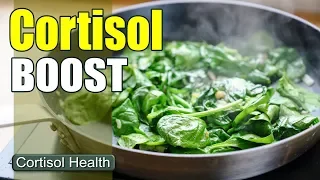 Cortisol Diet | Increase Cortisol Levels Naturally!