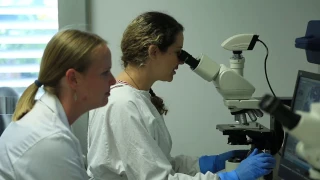 The Gynaecological Cancer Centre at the Royal Hospital for Women