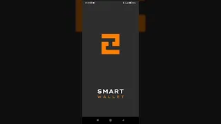 Установка и настройка Smart wallet