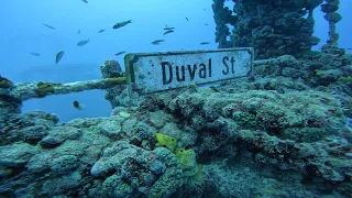 SCUBA diving the Vandenberg in Key West, FL