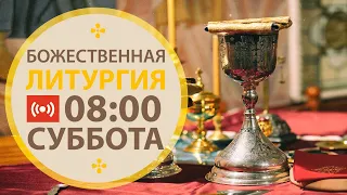 Трансляция. Служба поминовения усопших. Литургия. 08:00 (суббота) 07 ноября 2020.