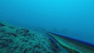 spearfishing israel