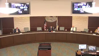 City of Palm Coast Council Meeting & Vacancy Appointment | Aug. 4