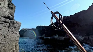 Spearfishing the Shallows - Speargun Session - Two Shots Four Fish! - Big Island of Hawaii