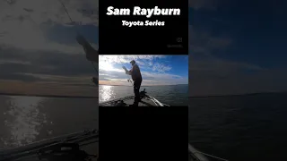 2023 MLF Toyota Series- Sam Rayburn