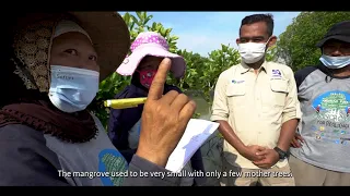 How the sustainable water fund protects the coast in Java | FDW
