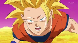 Dragon Ball Super Goku vs Beerus Hysteria