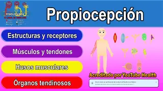 Propiocepción | Propiocepción fisiología | Receptores sensoriales del sistema nervioso